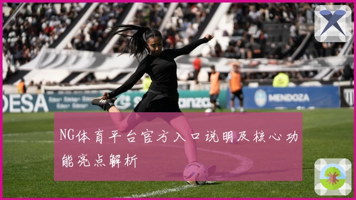NG体育平台官方入口说明及核心功能亮点解析